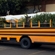Image for article titled New Biodiversity Program Busses In Species From Outside Ecosystems